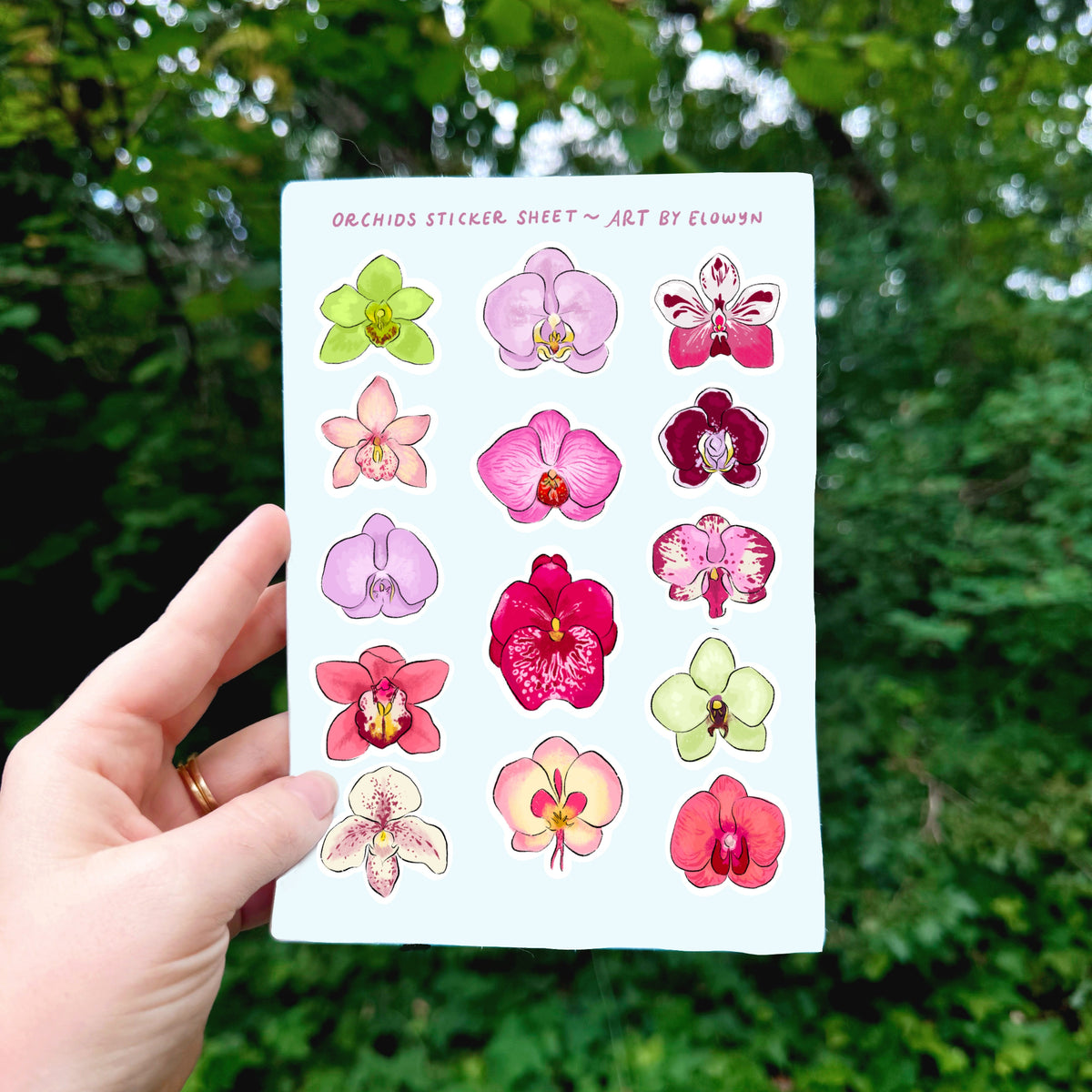 Orchid Sticker Orchids Sticker Sheet – Art by Elowyn