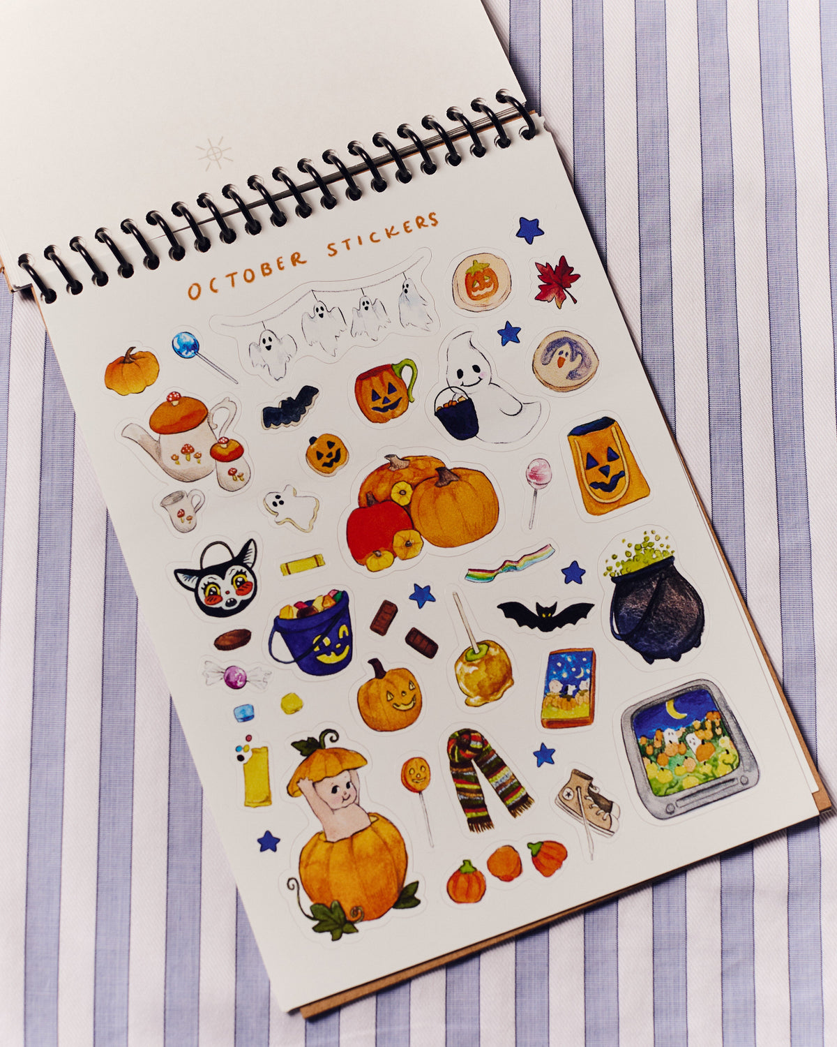 Months of the Year Sticker Book - 2nd Edition