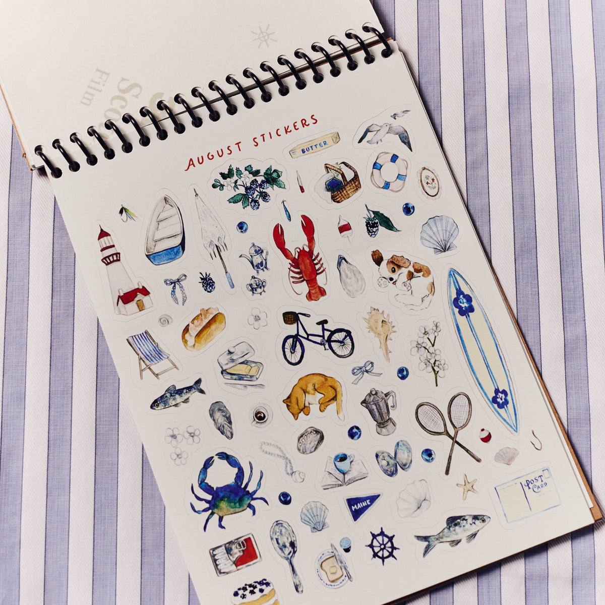 Months of the Year Sticker Book - 2nd Edition