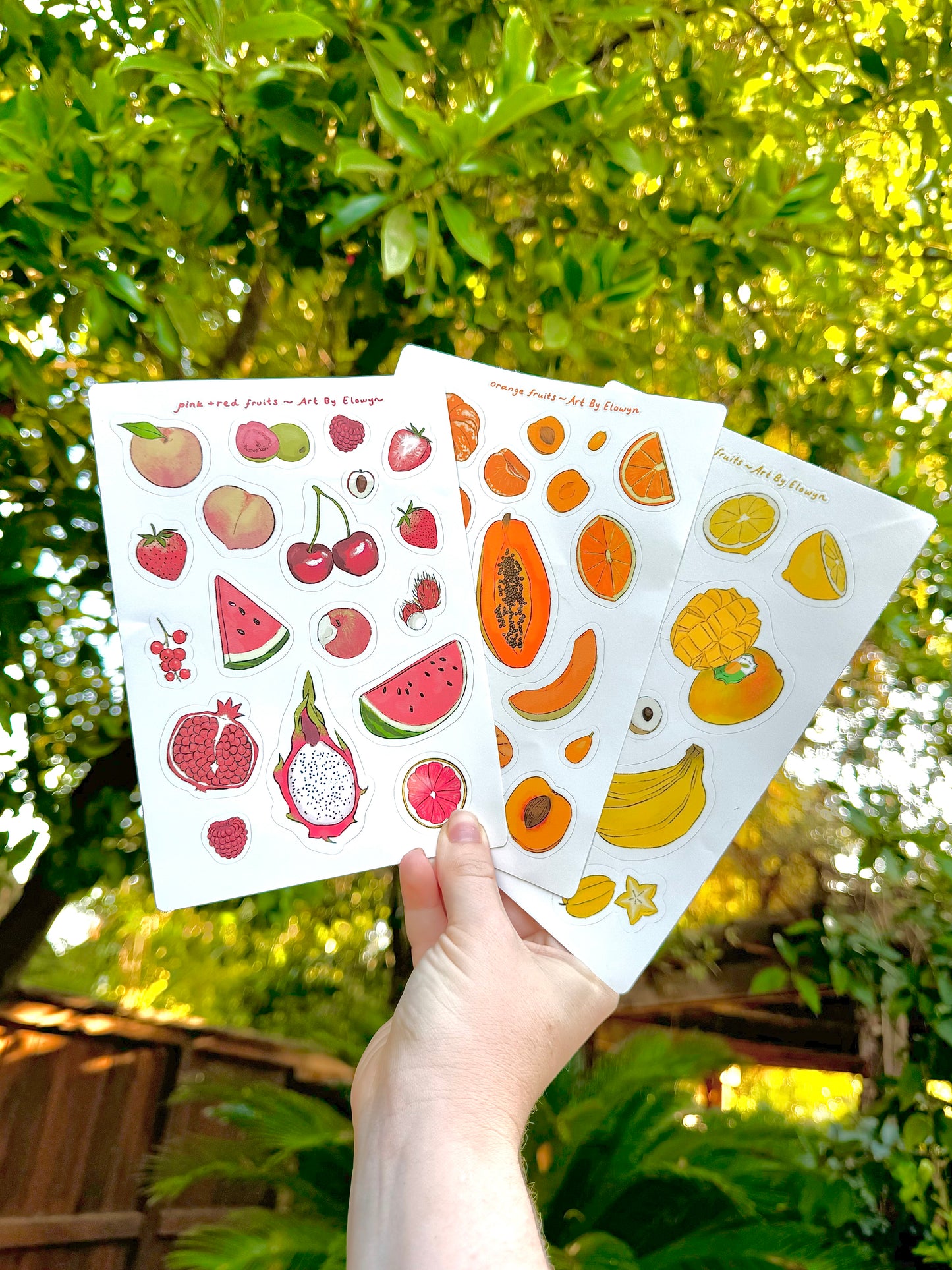 Red and Pink Fruits Sticker Sheet