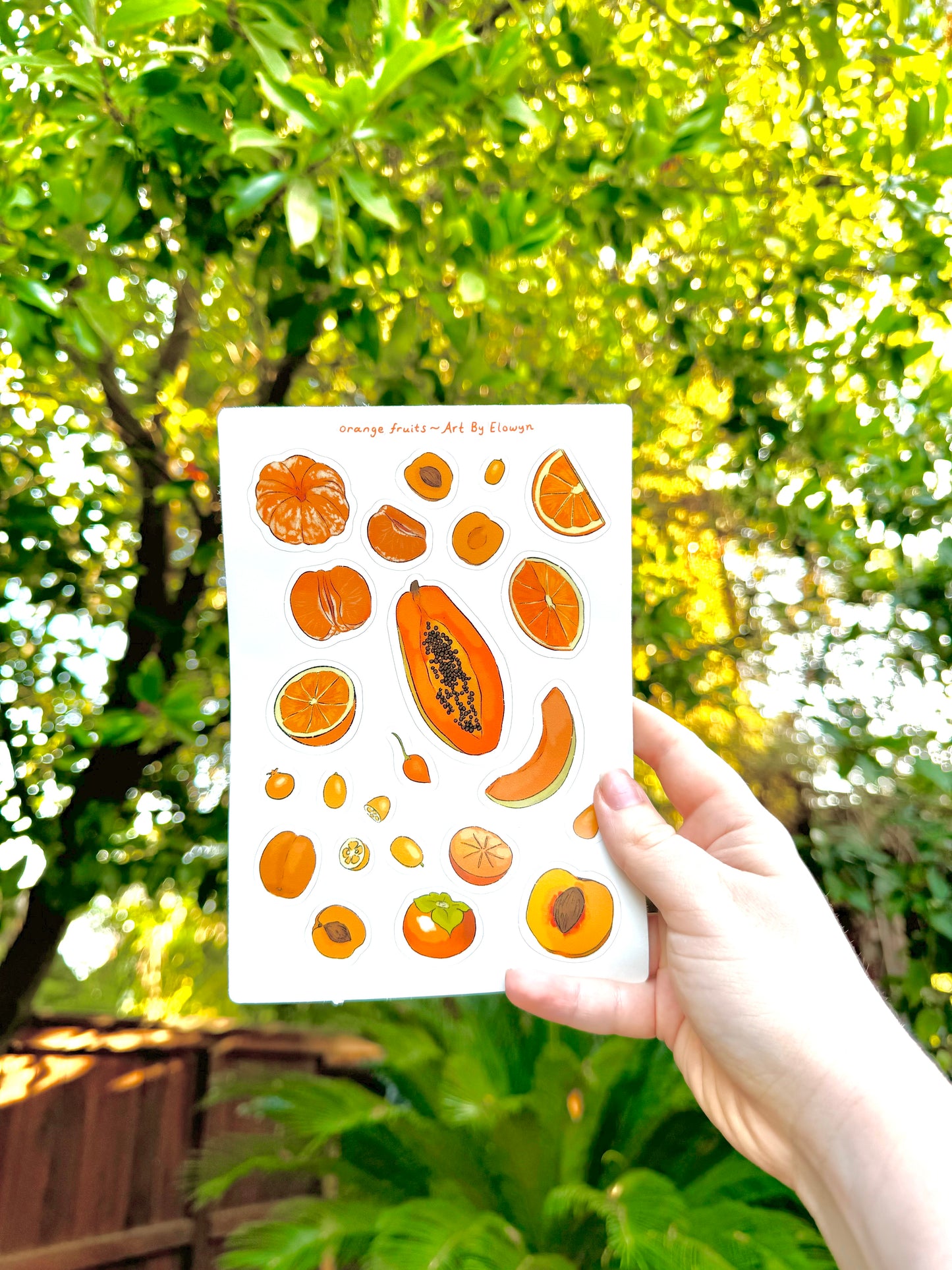 Orange Fruits Sticker Sheet