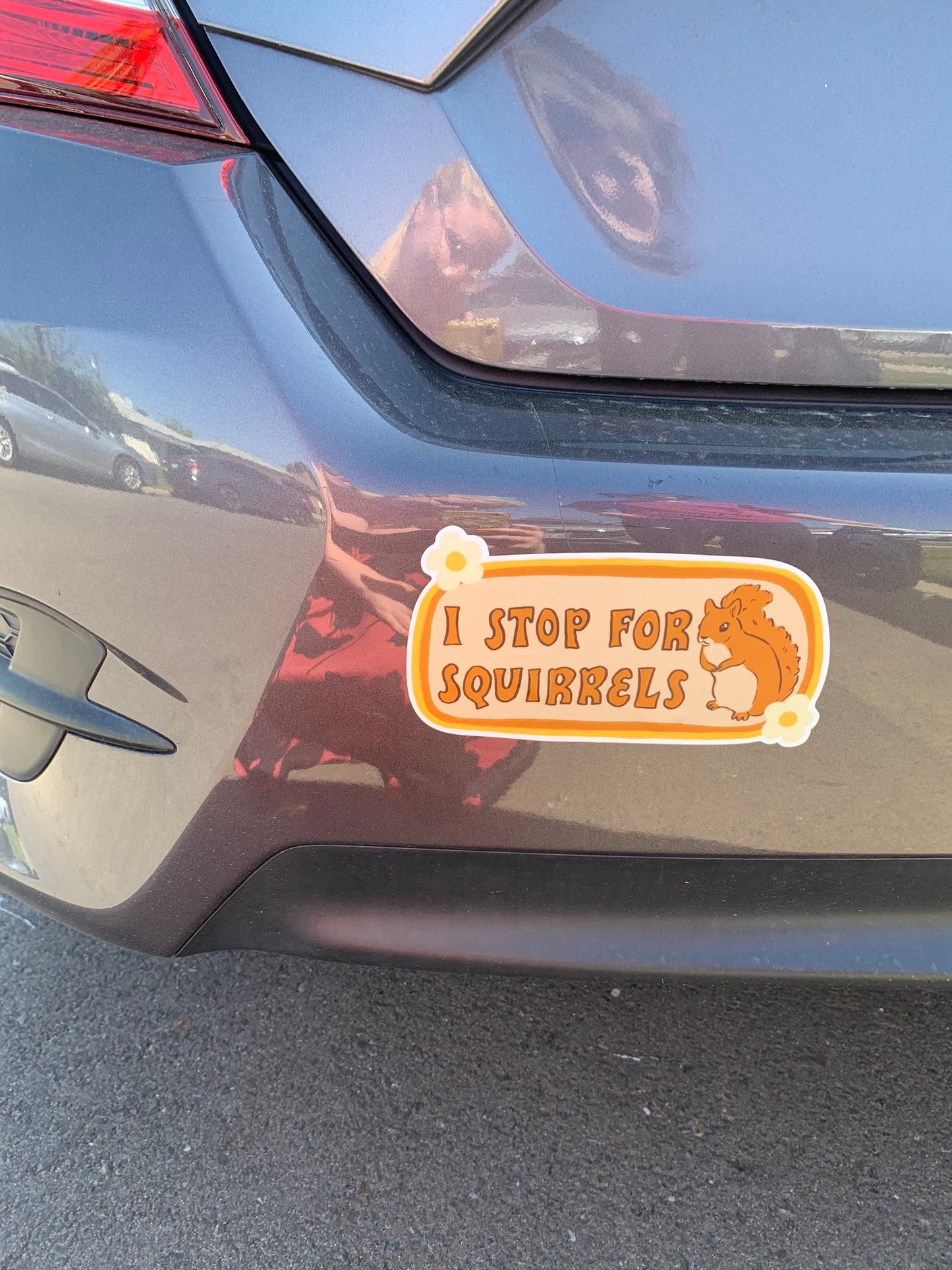 I Stop For Squirrels Bumper Sticker | Squirrel Sticker | Stickers for Car | Bumper Stickers | Waterproof Stickers | Stickers