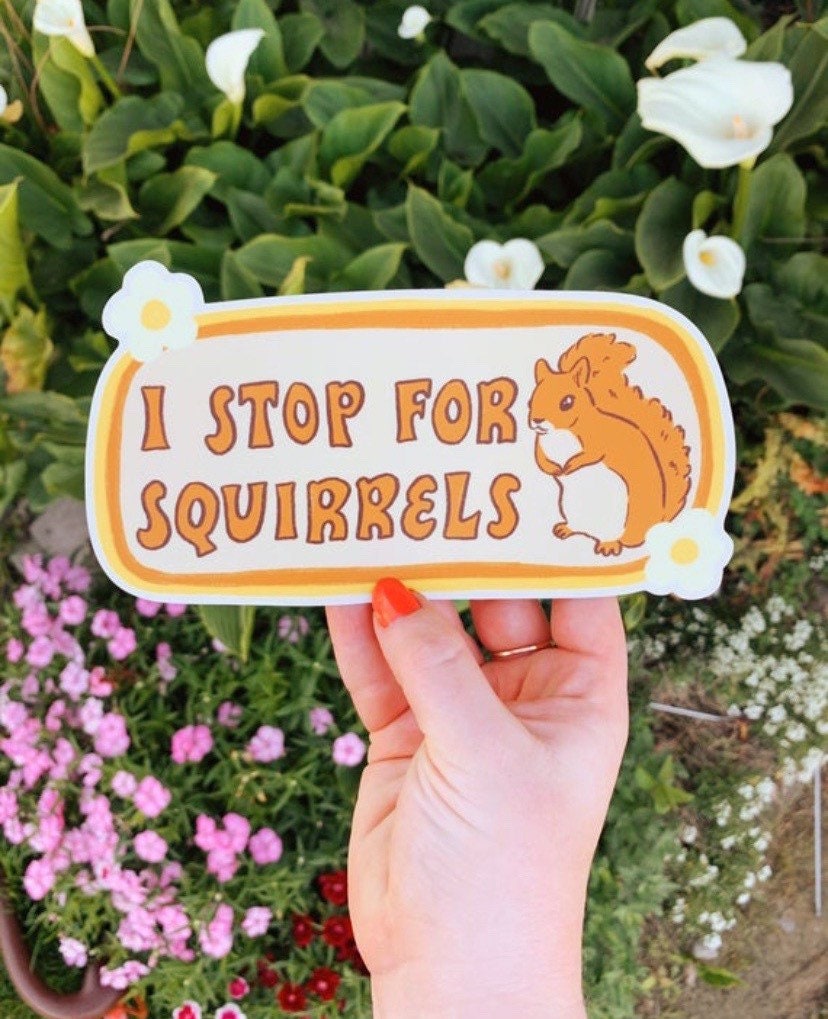 I Stop For Squirrels Bumper Sticker | Squirrel Sticker | Stickers for Car | Bumper Stickers | Waterproof Stickers | Stickers