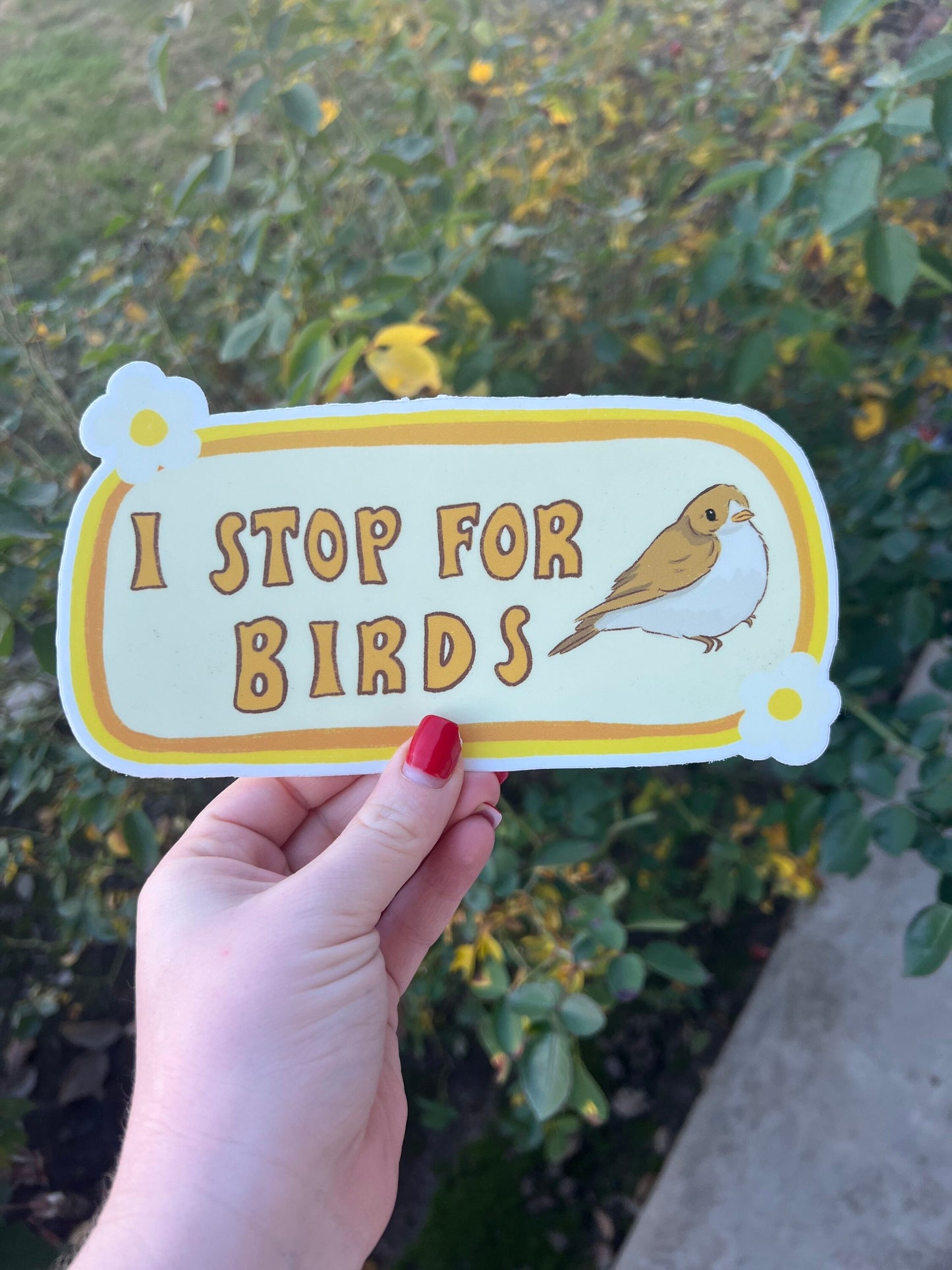 I Stop For Birds Bumper Sticker | Bird Sticker | Stickers for Car | Bumper Stickers | Waterproof Stickers | Stickers