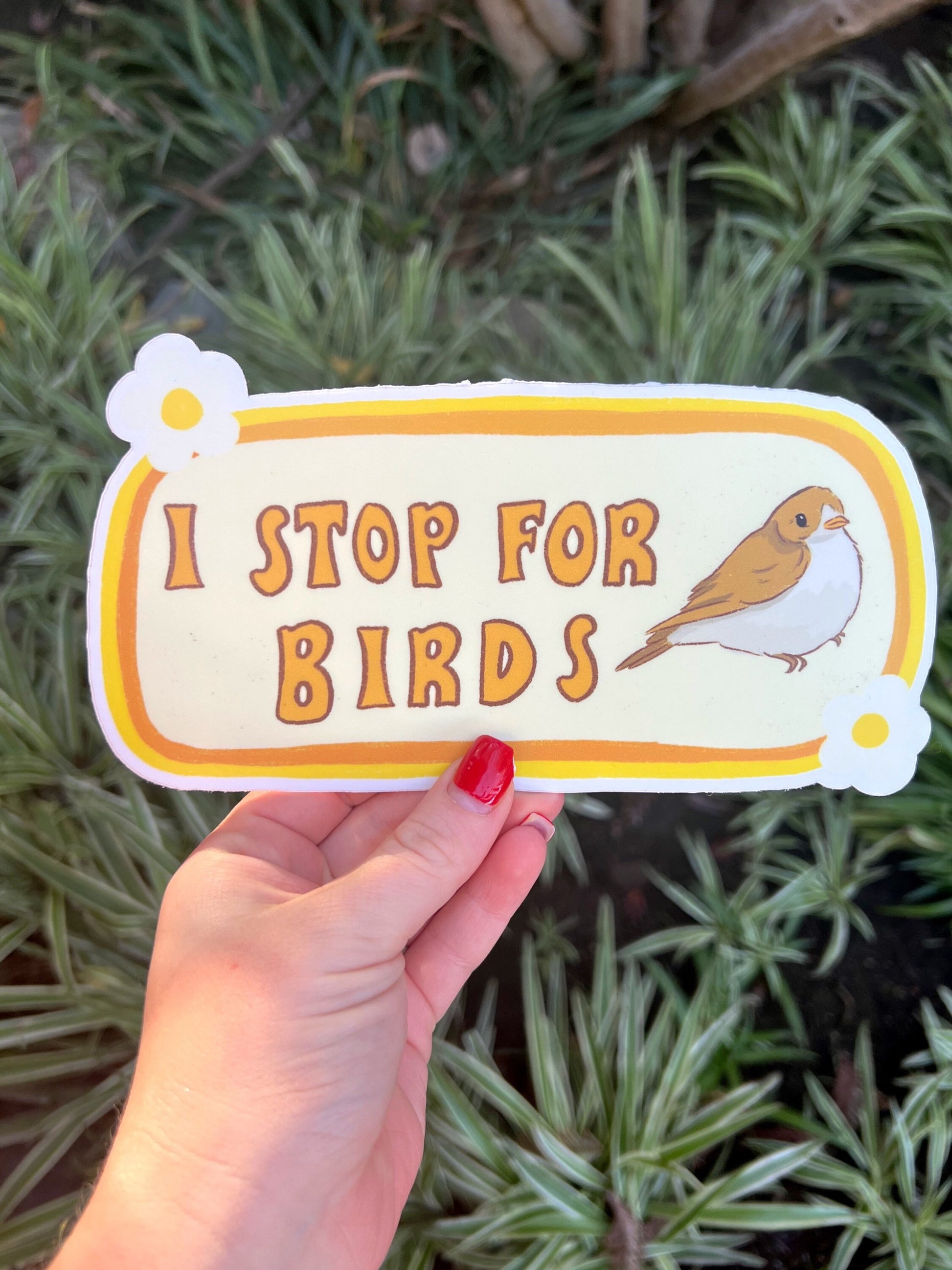 I Stop For Birds Bumper Sticker | Bird Sticker | Stickers for Car | Bumper Stickers | Waterproof Stickers | Stickers