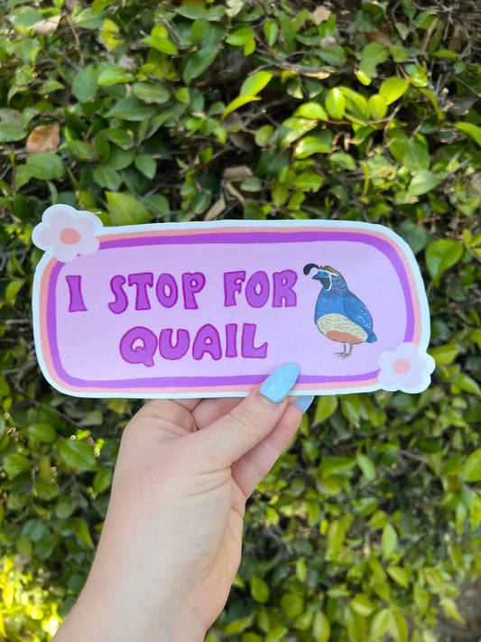 I Stop For Quail Bumper Sticker | Quail Sticker | Stickers for Car | Bumper Stickers | Waterproof Stickers | Stickers