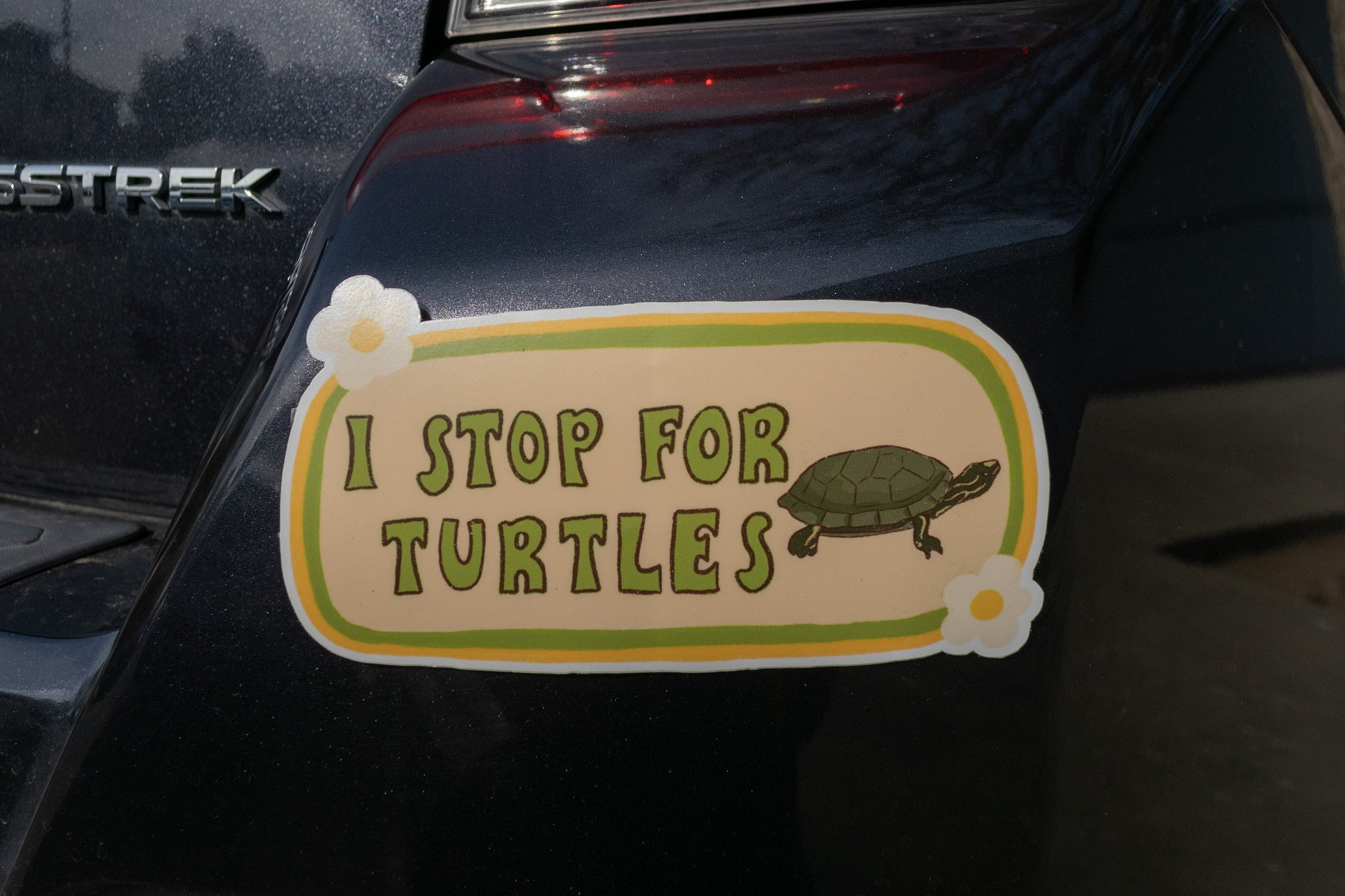 I Stop For Turtles Bumper Sticker | Turtle Sticker | Stickers for Car | Bumper Stickers | Waterproof Stickers | Stickers