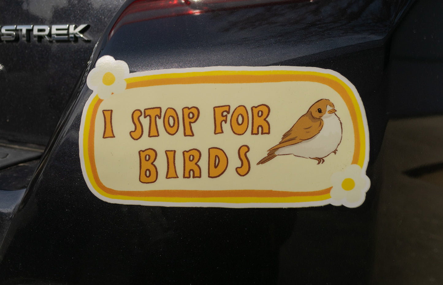 I Stop For Birds Bumper Sticker | Bird Sticker | Stickers for Car | Bumper Stickers | Waterproof Stickers | Stickers