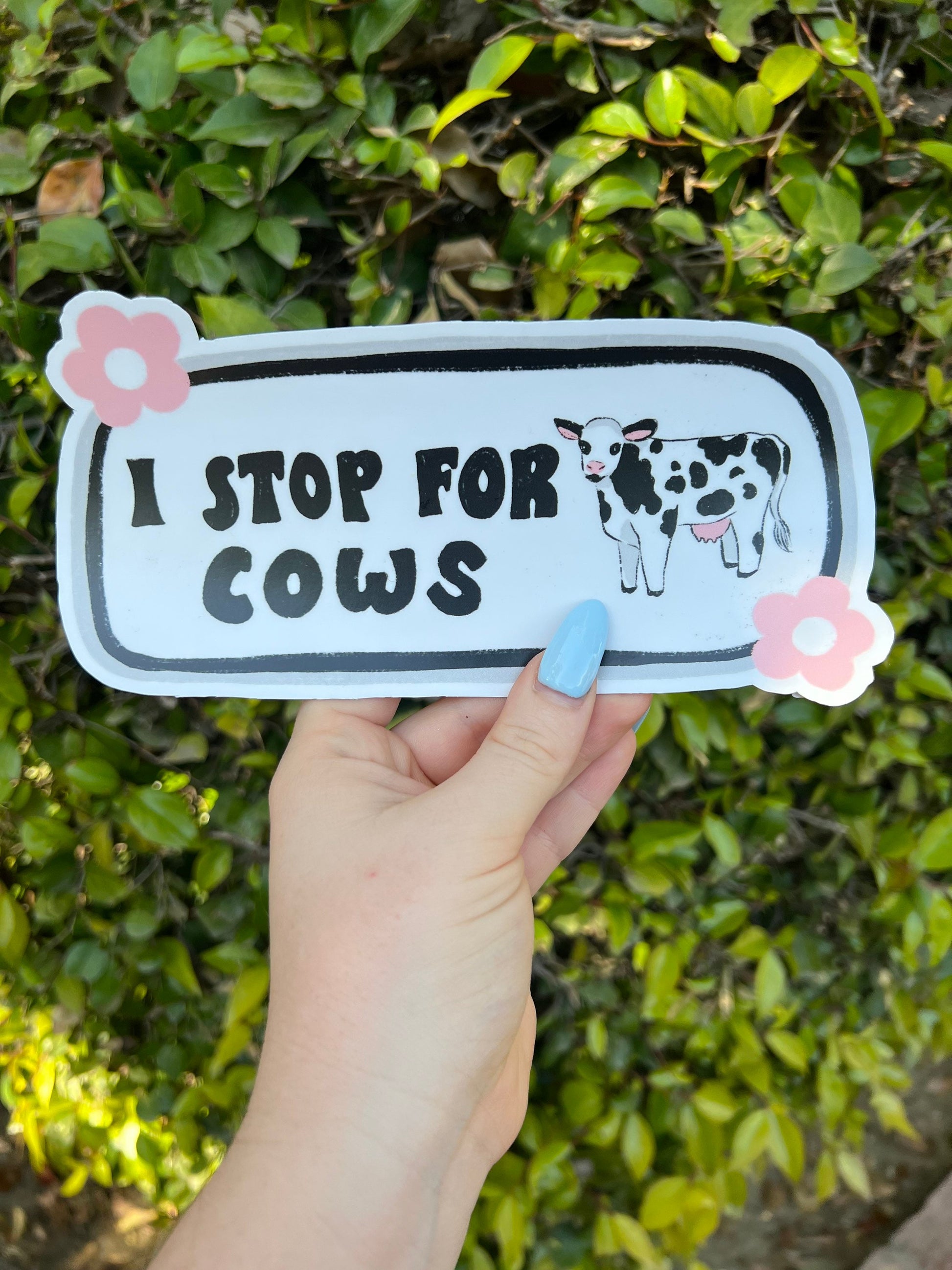 I Stop For Cows Bumper Sticker | Cows Sticker | Stickers for Car | Bumper Stickers | Waterproof Stickers | Stickers