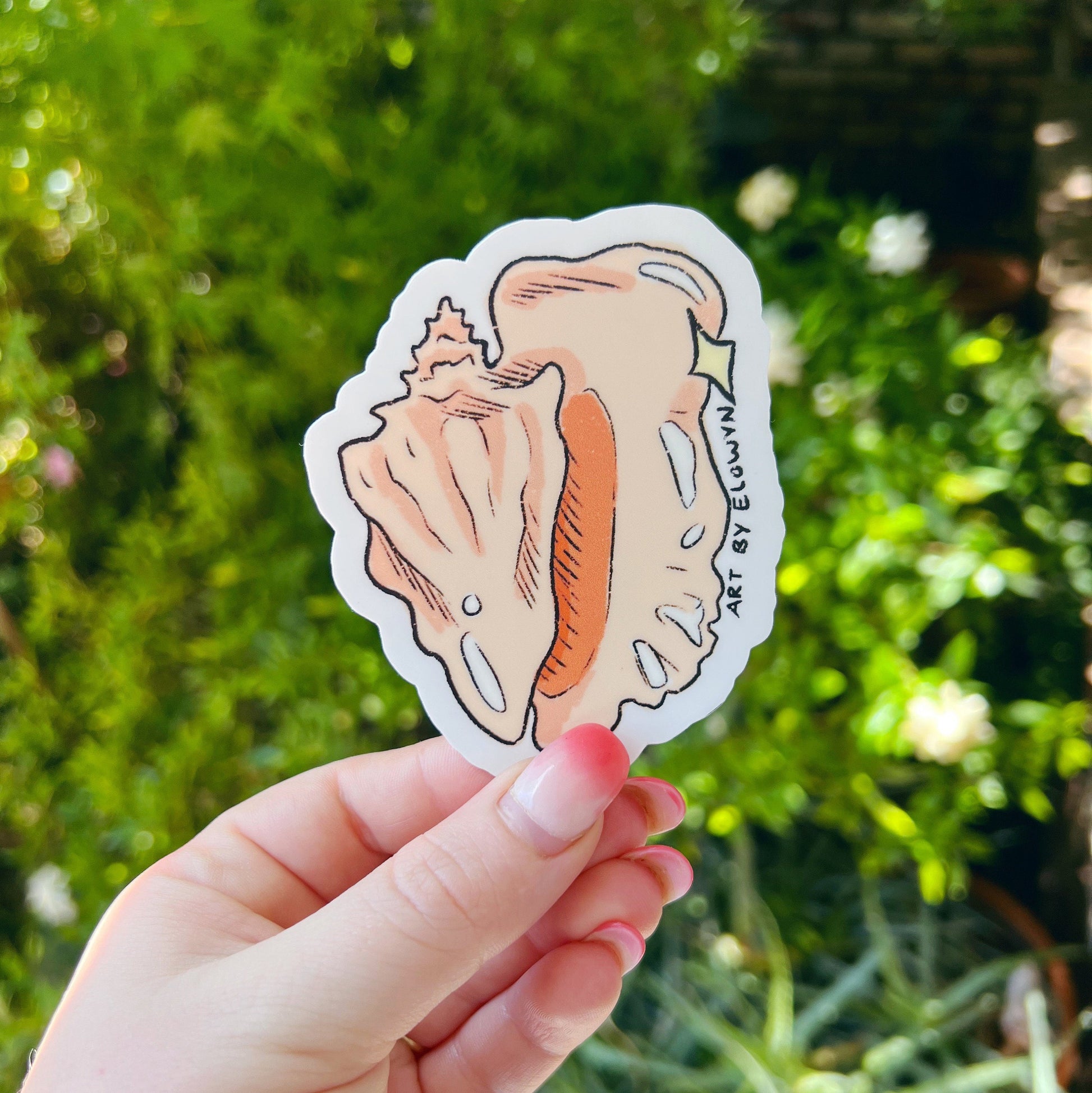 Conch Seashell Sticker | Summer Sticker | Beach Sticker | Waterproof Stickers | Laptop Stickers | Stickers for Hydroflask