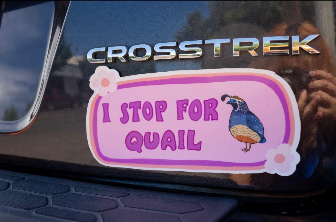 I Stop For Quail Bumper Sticker | Quail Sticker | Stickers for Car | Bumper Stickers | Waterproof Stickers | Stickers