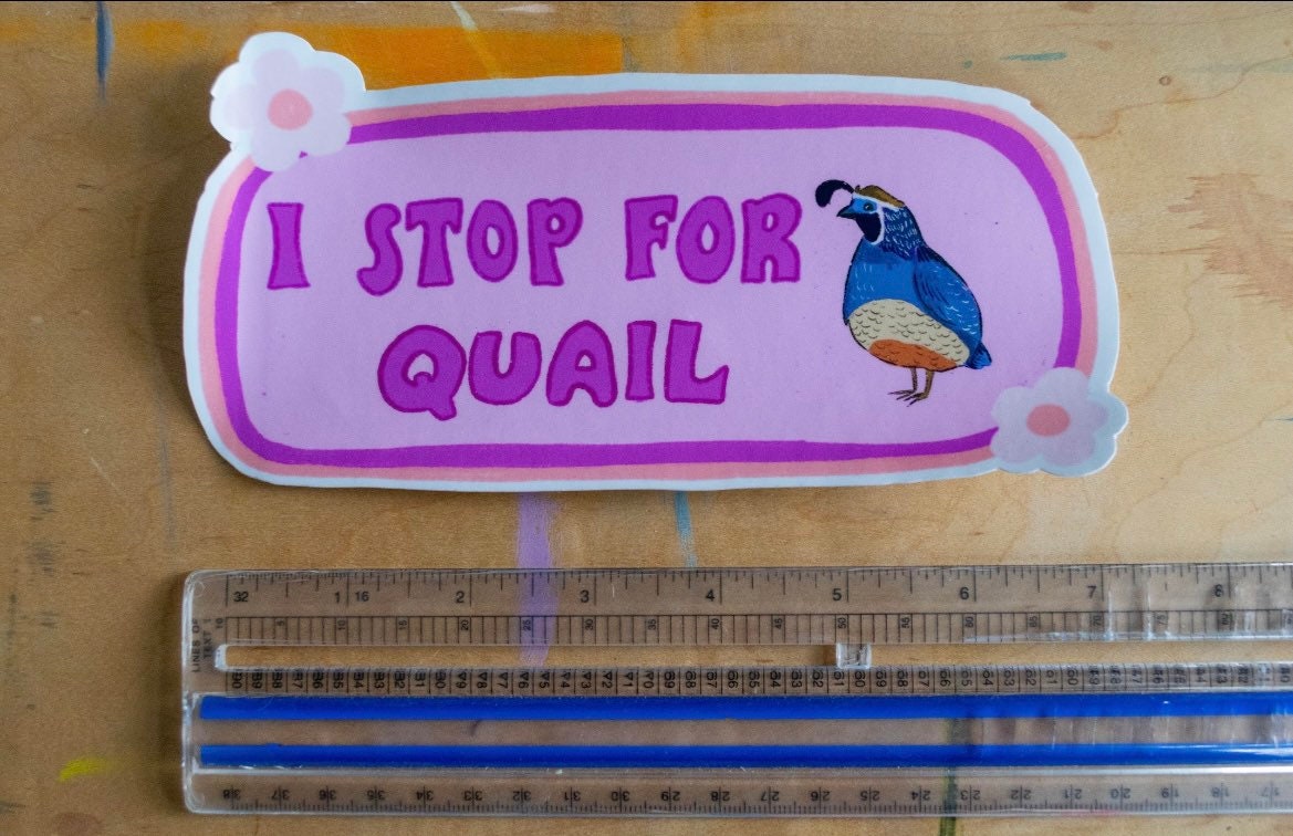 I Stop For Quail Bumper Sticker | Quail Sticker | Stickers for Car | Bumper Stickers | Waterproof Stickers | Stickers