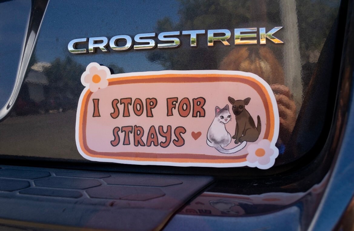 I Stop for Strays Bumper Sticker | Cats and Dogs Bumper Sticker | Stickers for Car