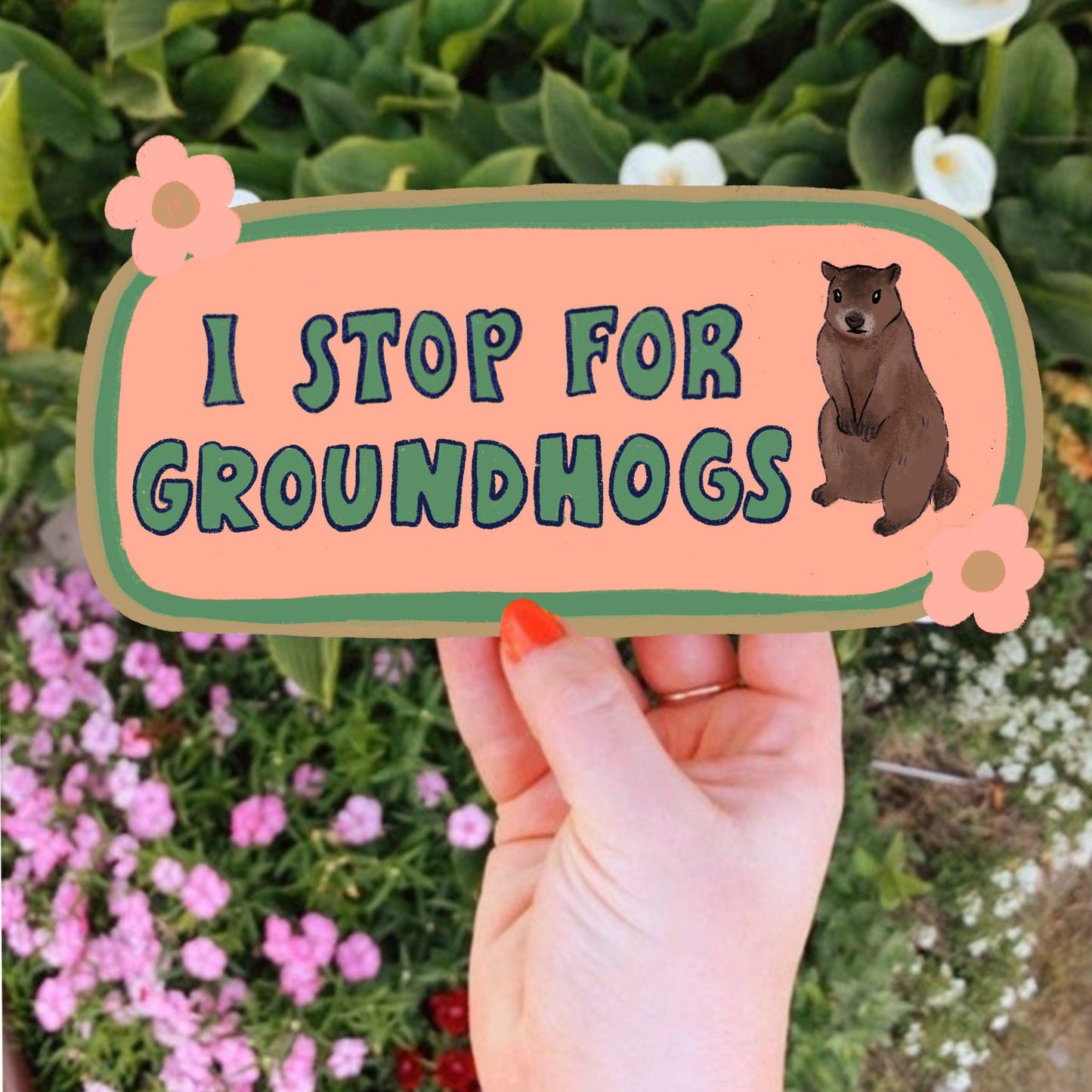 I Stop For Groundhogs Bumper Sticker | Funny Ground Hog Sticker | Stickers for Car | Bumper Stickers | Waterproof Stickers | Stickers