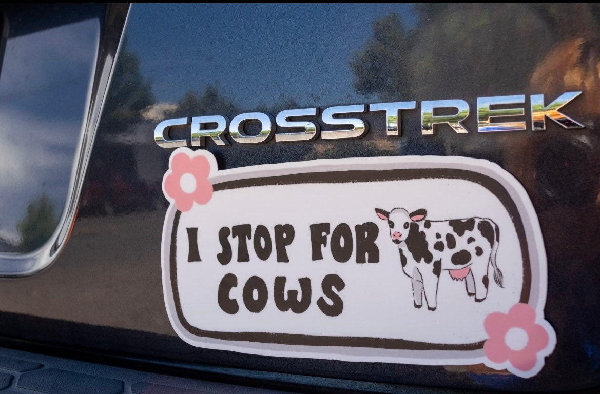 I Stop For Cows Bumper Sticker | Cows Sticker | Stickers for Car | Bumper Stickers | Waterproof Stickers | Stickers