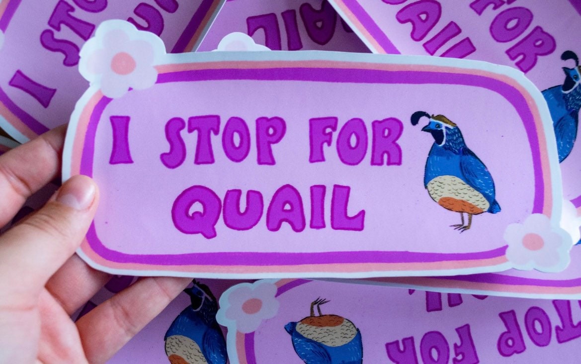 I Stop For Quail Bumper Sticker | Quail Sticker | Stickers for Car | Bumper Stickers | Waterproof Stickers | Stickers