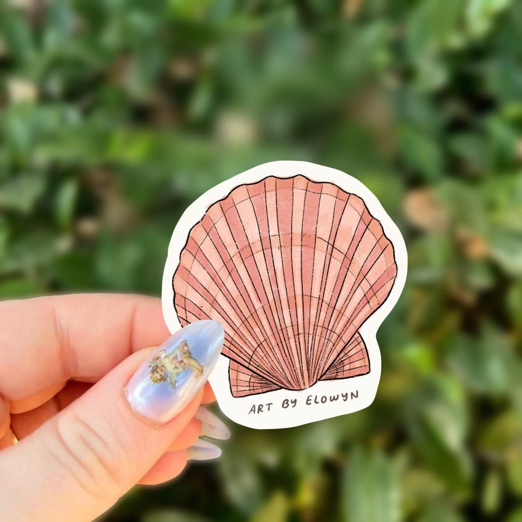 Seashell Sticker | Ocean Sticker | Sticker | Waterproof Sticker | Stickers for Hydroflask