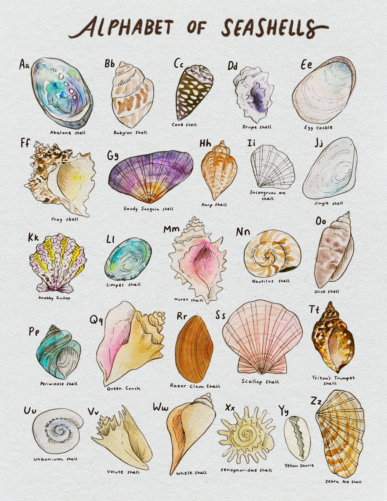 Seashell Alphabet Print | Ocean Fan Art | Seashell Art | Wall Art | Art Prints | Art Posters | Watercolor Print