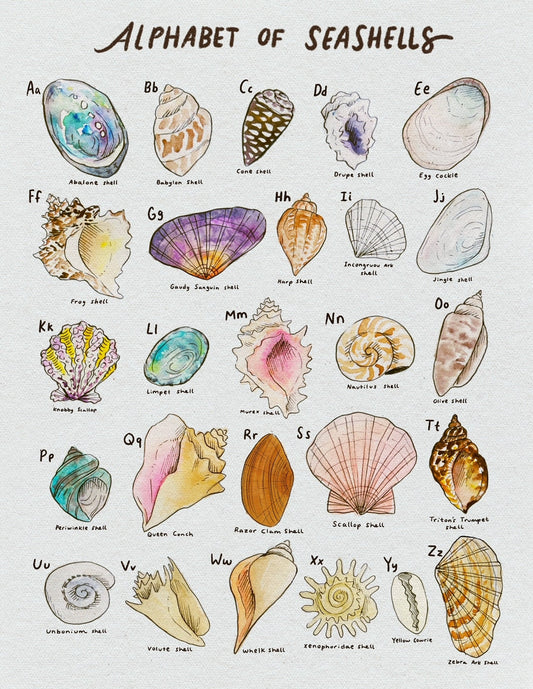 Seashell Alphabet Print | Ocean Fan Art | Seashell Art | Wall Art | Art Prints | Art Posters | Watercolor Print