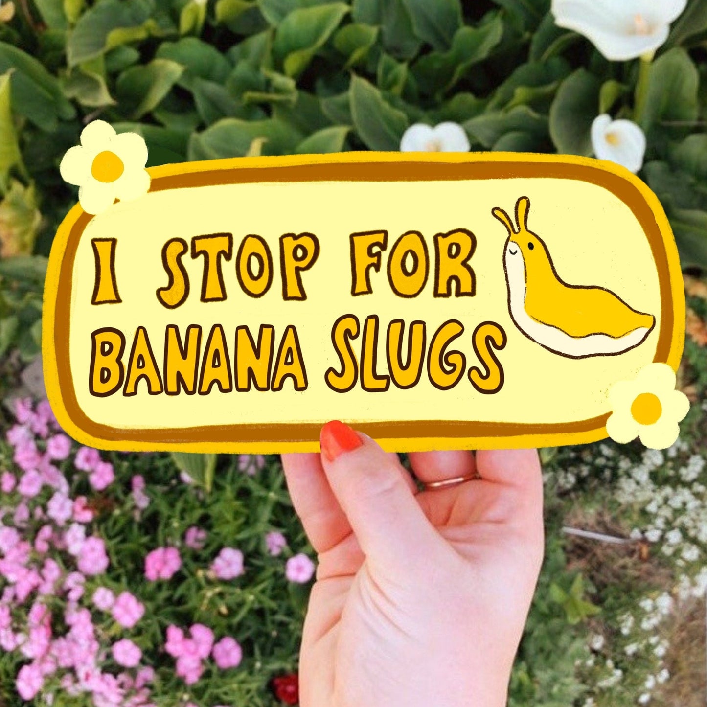 I Stop For Banana Slugs Bumper Sticker | Funny Humboldt Santa Cruz Sticker | Stickers for Car | Bumper Stickers | Waterproof Stickers