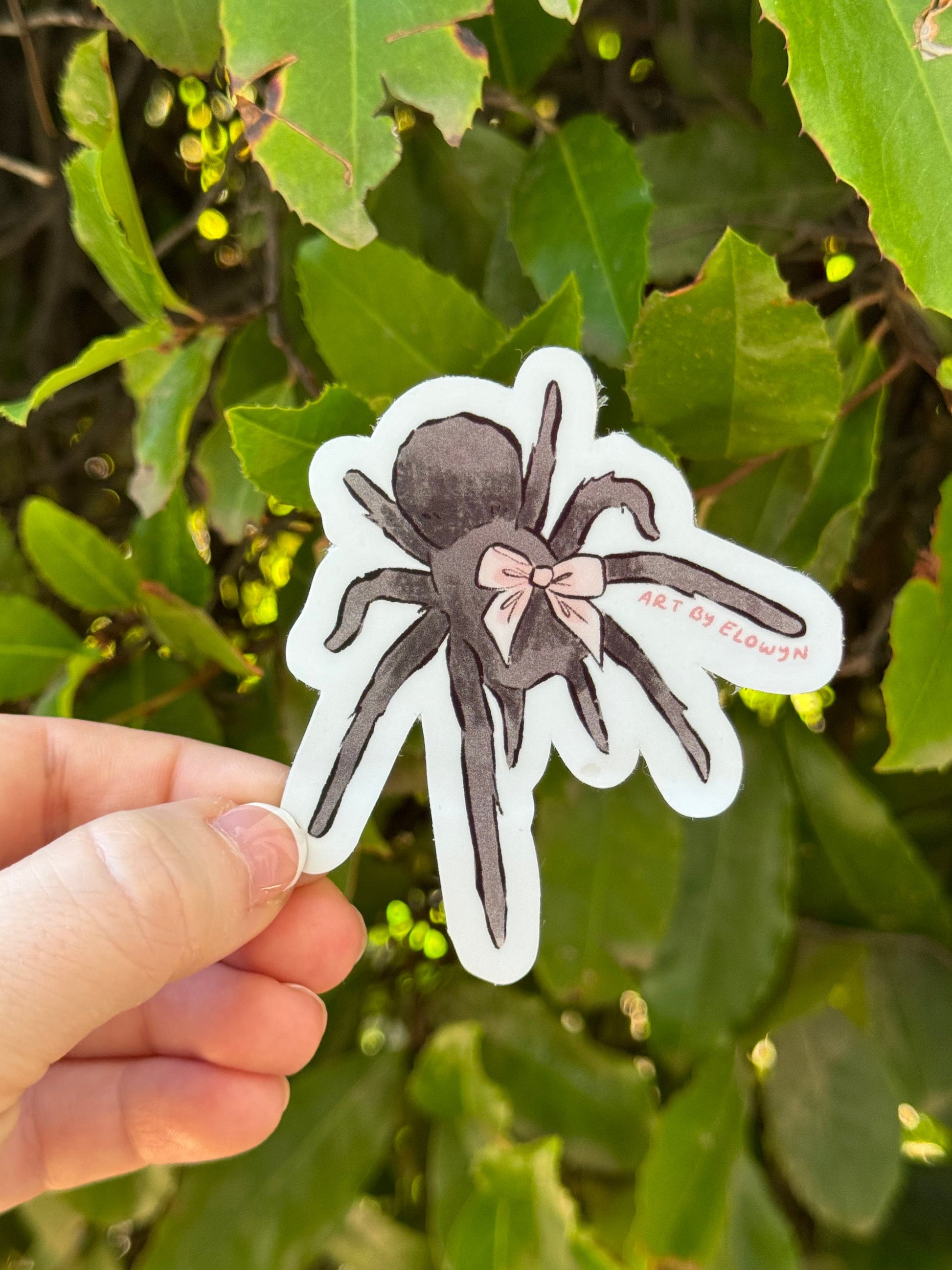 Coquette Tarantula Sticker | Girly Girl Sticker | Spider with Bow Sticker | Waterproof Sticker | Stickers for Hydroflask