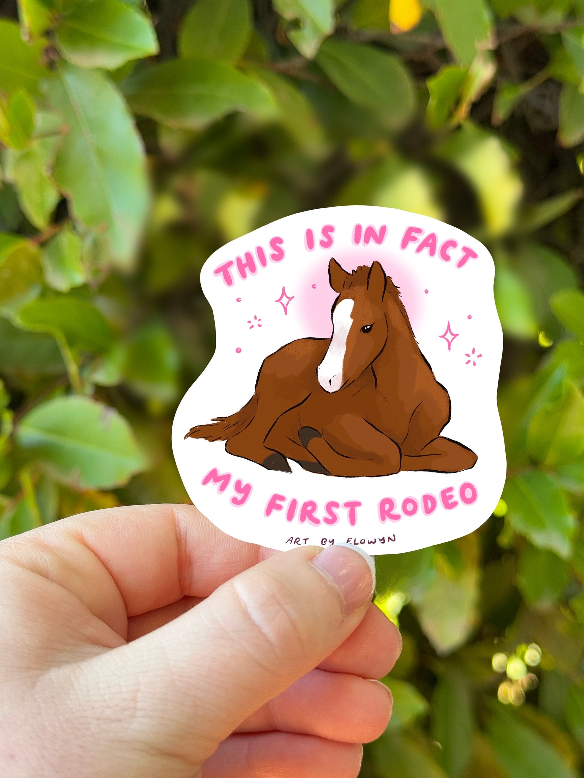 This Is In Fact My First Rodeo Sticker | Girly Sticker | Coquette Sticker | 70s Cowboy Cowgirl Western Aesthetic