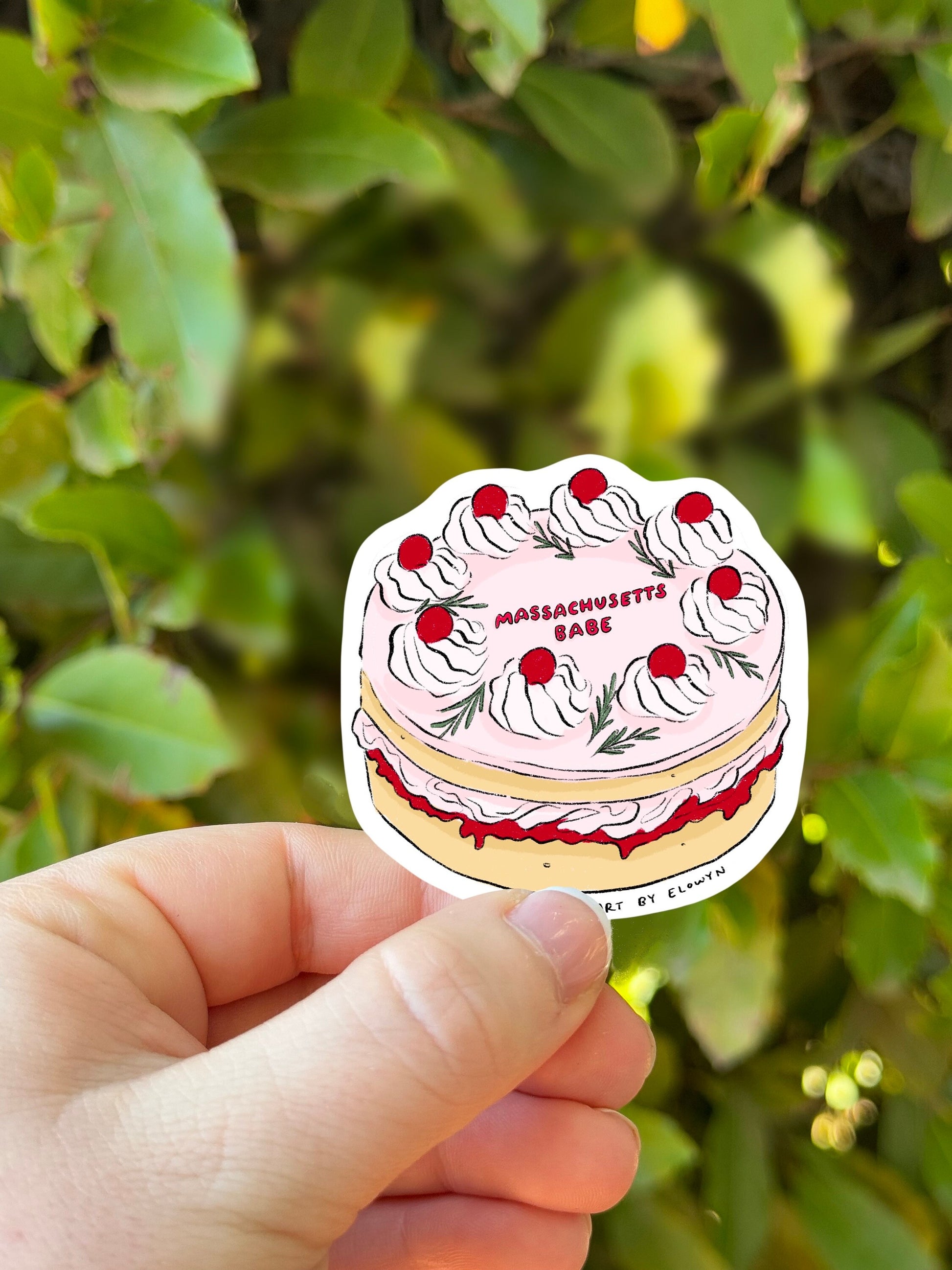 Massachusetts Babe Cake Stickers | Fancy Cake Stickers | Waterproof Stickers | Vinyl Stickers | Laptop Stickers | State Cake Sticker