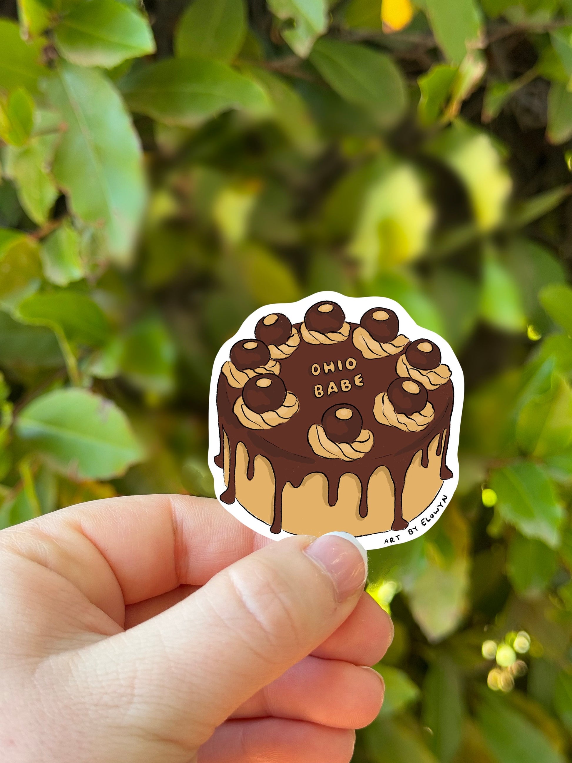 Ohio Babe Cake Stickers | Fancy Cake Stickers | Waterproof Stickers | Vinyl Stickers | Stickers| State Cake Sticker